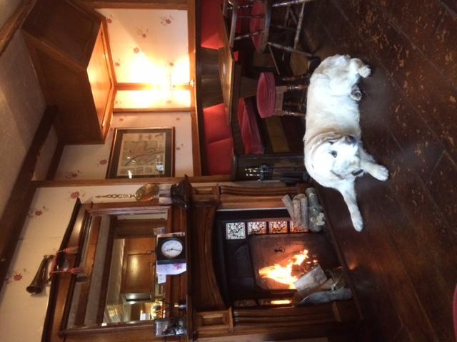 Hotel The Bay Horse York Esterno foto